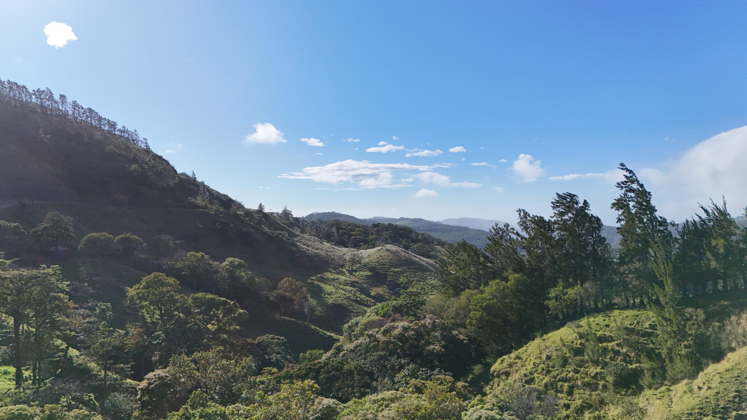 Monteverde