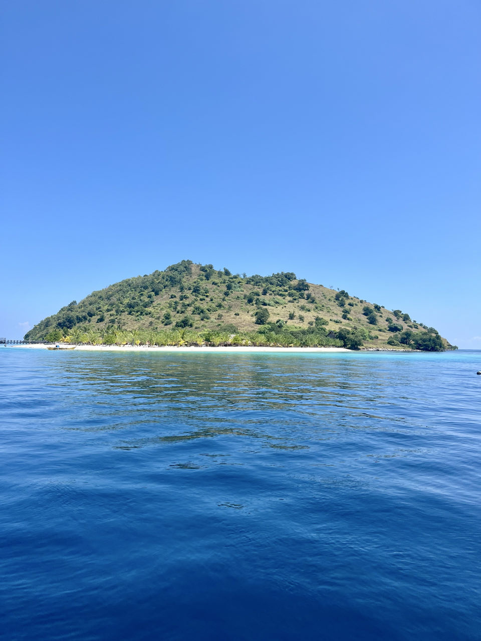 Flores | Le Pirate Island 1